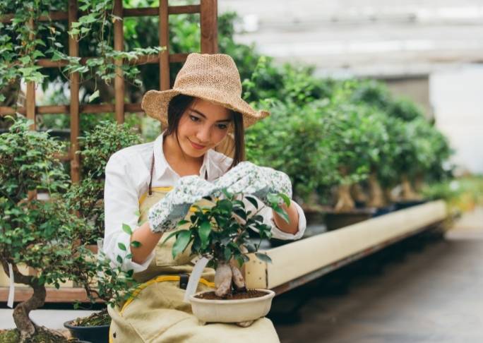 Grow Your Food To Save Money